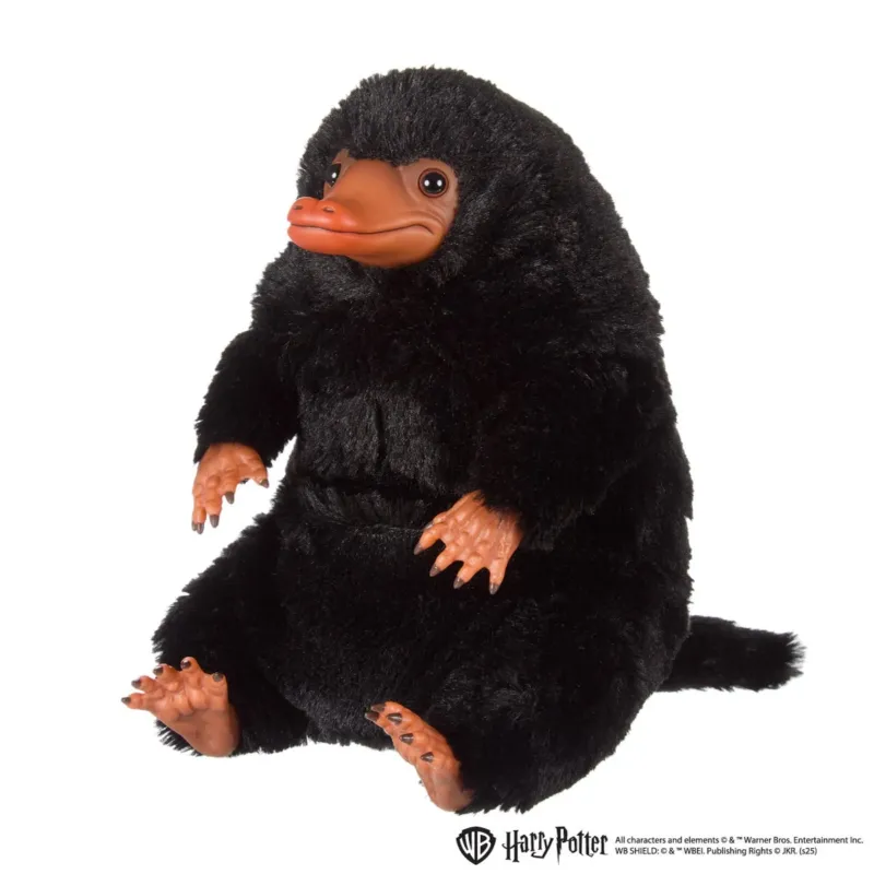 ニフラーの正面