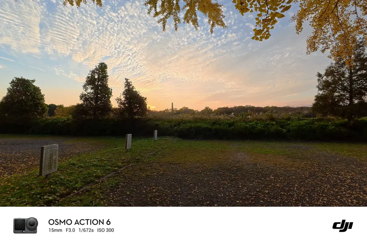 大型センサーが描く圧倒的な画質