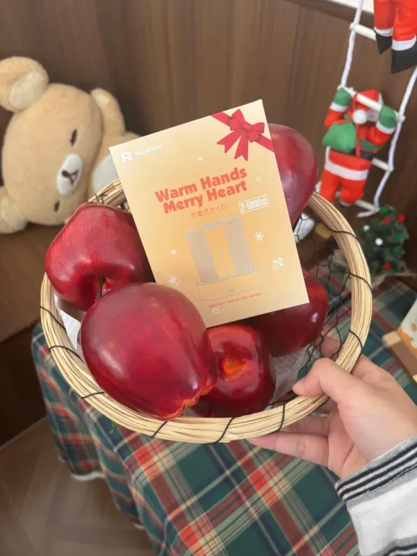 充電式カイロのパッケージ