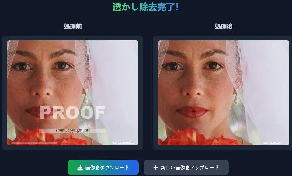画像ウォーターマーク除去ツールのUI