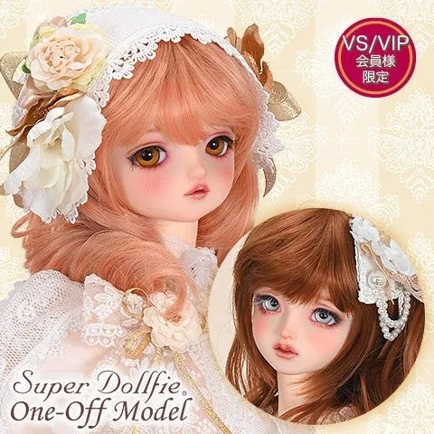 SDメモリアルワンオフモデル