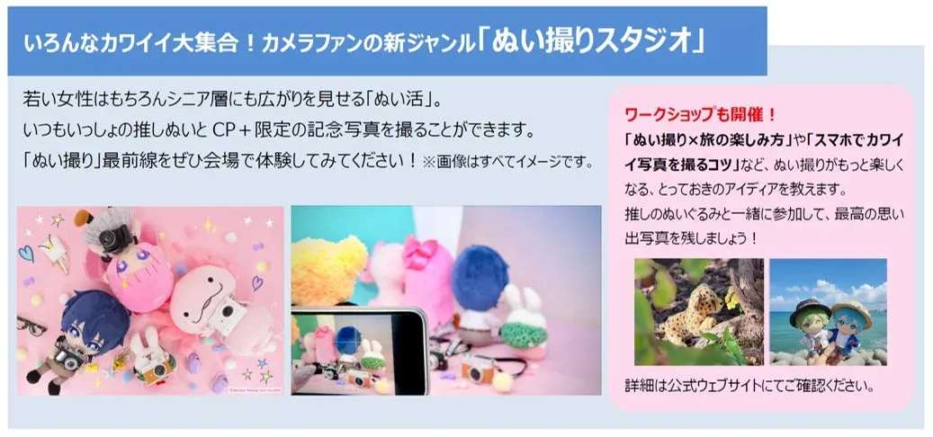 ぬい撮りスタジオの案内とぬいぐるみの写真