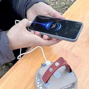 スマホ充電の様子