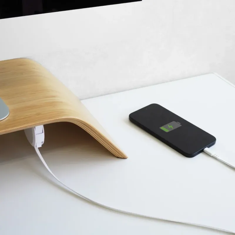 付属の固定スタンドで“定位置化”