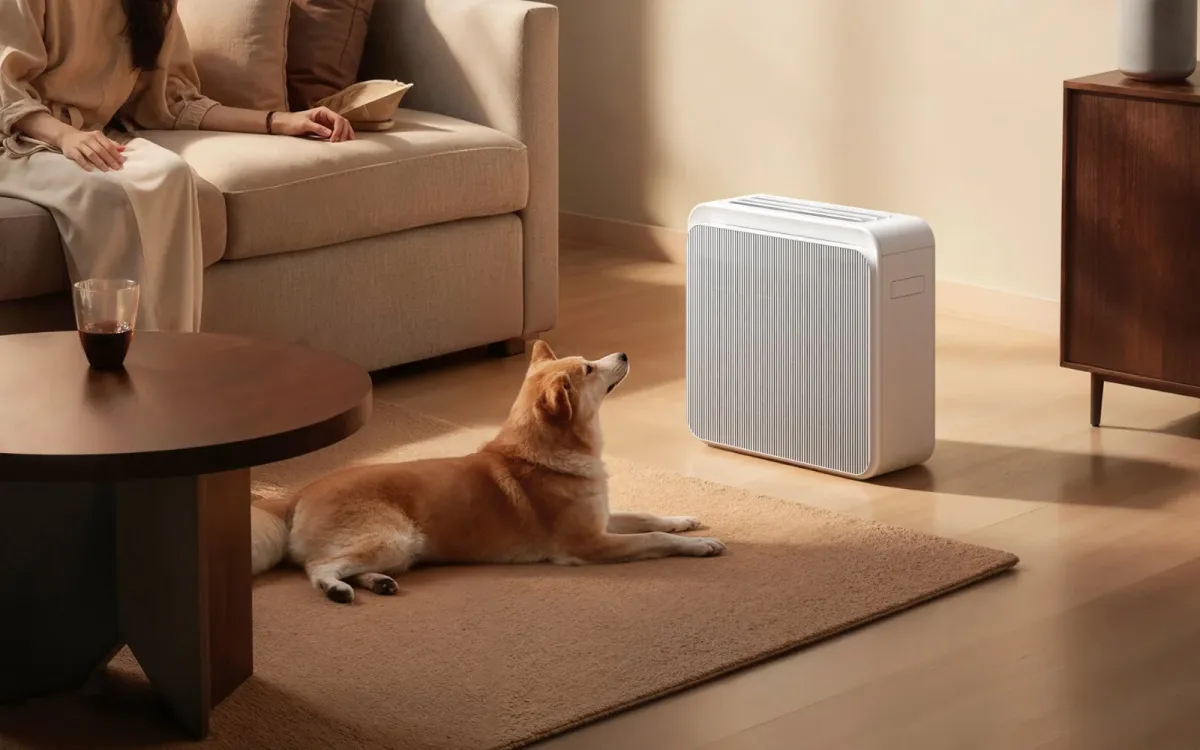 リビングルームで、ソファに座る人の前で犬が空気清浄機を見上げて横たわっています。