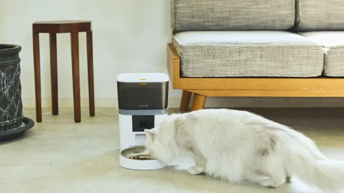 猫が自動給餌器から食事