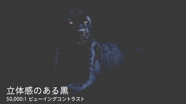 漆黒の「黒」を描く ― NoirScene™システム