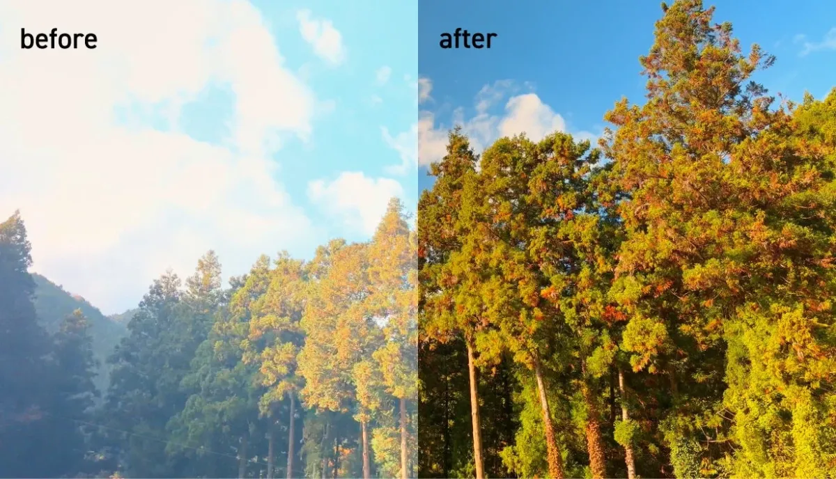 CPLフィルター（風景コントラスト効果）