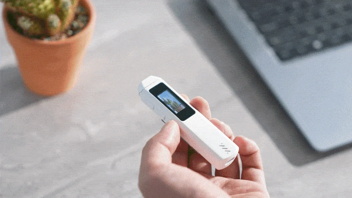 ポータブルデバイス,カメラ,ガジェット,手,ラップトップ,植物,卓上,テクノロジー,デジタル,白