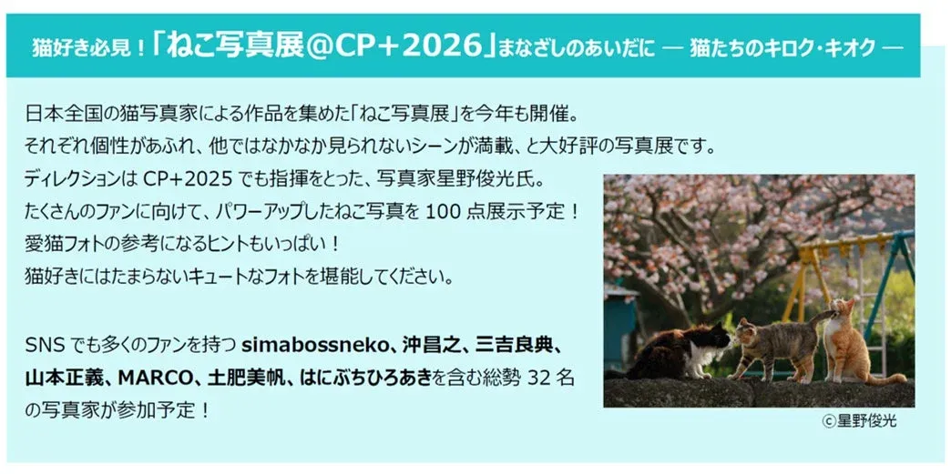ねこ写真展の告知と猫の写真