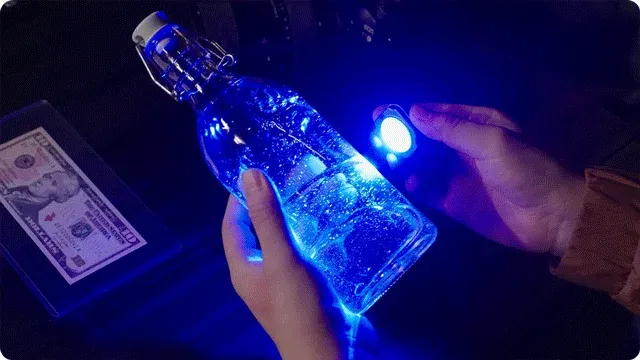 UVライトを使って10ドル札の真贋を鑑定している様子