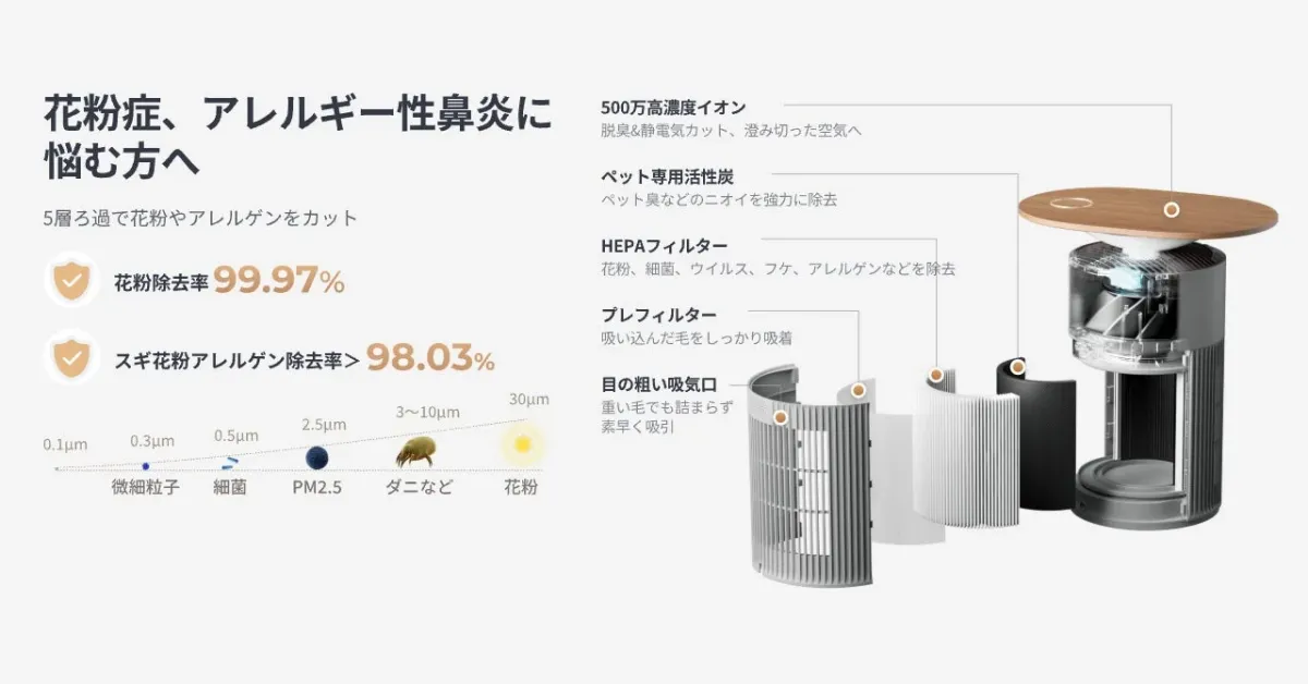 5層ろ過システムの説明図