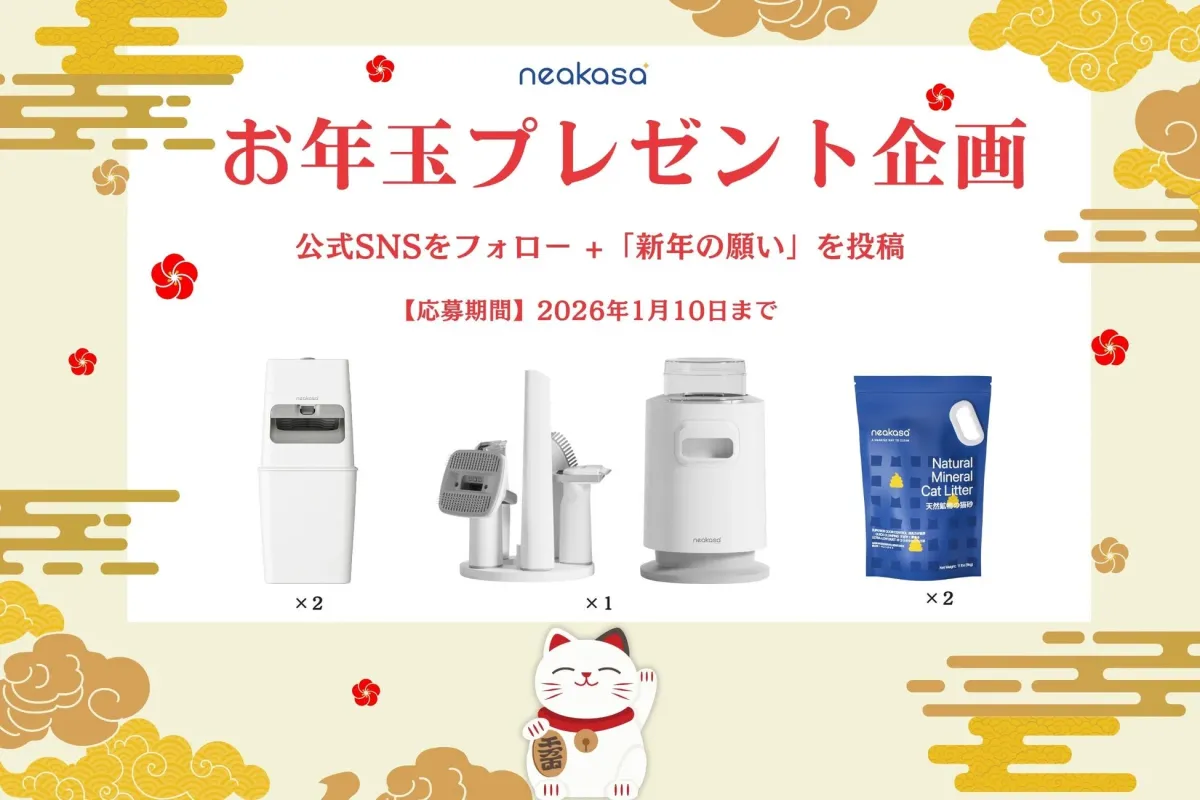 neakasaが開催するお年玉プレゼント企画の告知画像