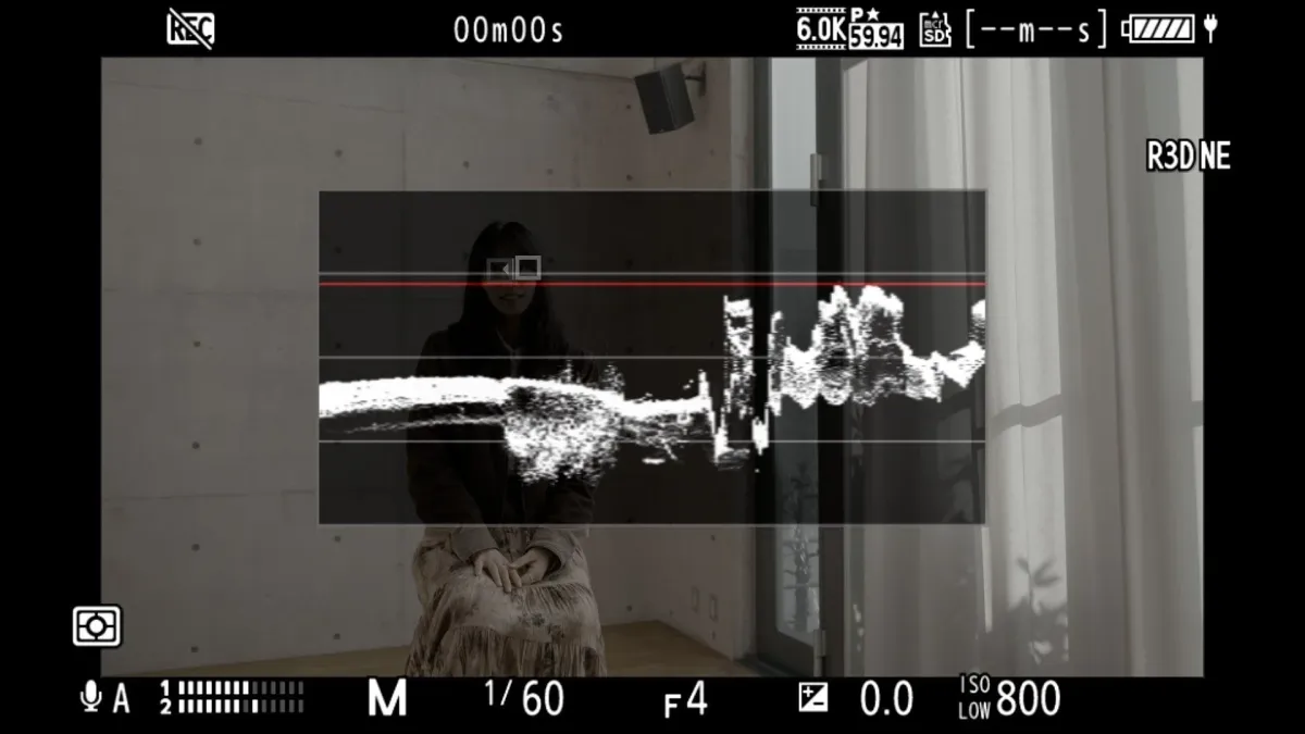 ビデオカメラのモニター画面、女性が映る