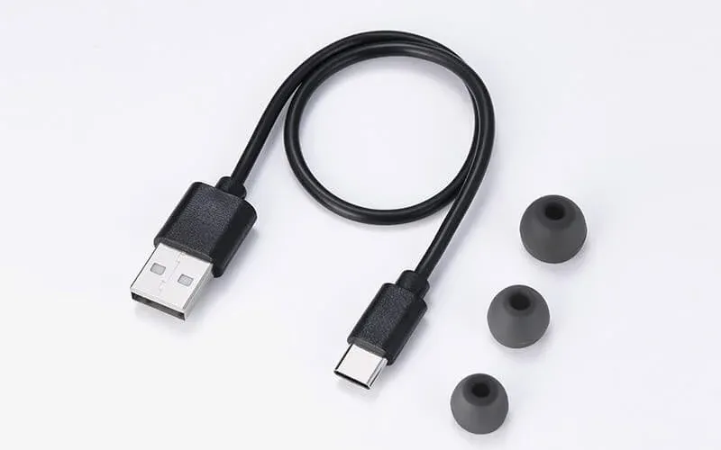 白い背景の上に、USB-AからUSB-Cへの充電ケーブル1本と、3つの異なるサイズのグレーのイヤーピースが並べられています