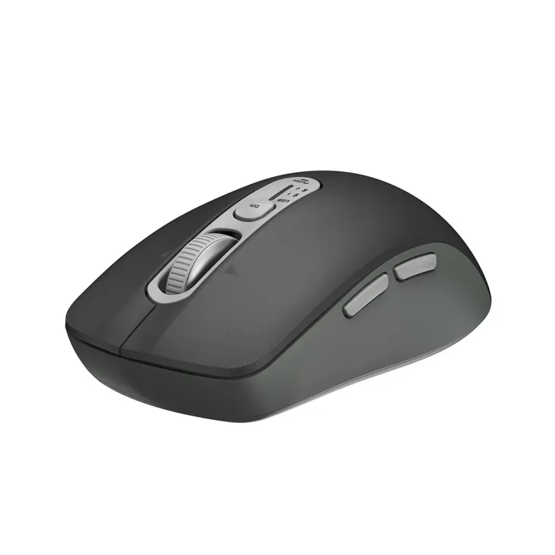 ブラックモデルのマウス