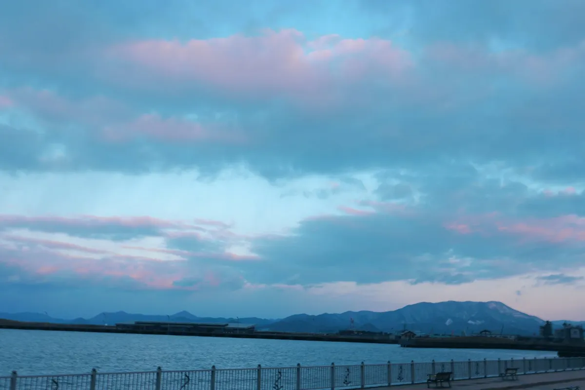 展示される作品例