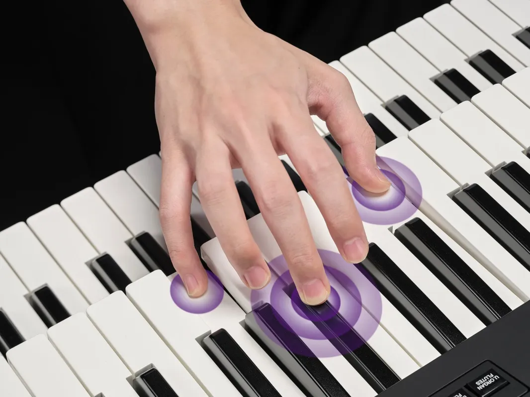 鍵盤楽器を演奏している手のクローズアップ