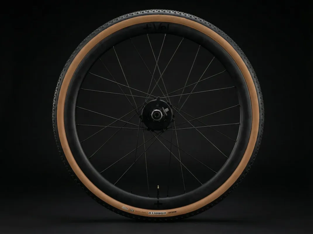 自転車のホイールとタンウォールタイヤ