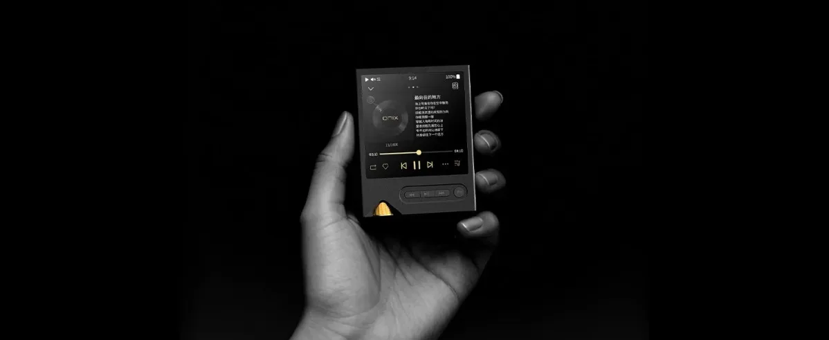 ONIX DAPを握る手