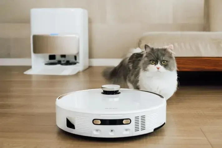 猫とロボット掃除機