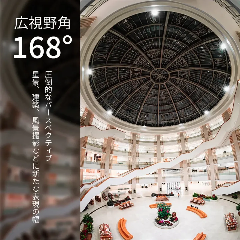 広視野角168°