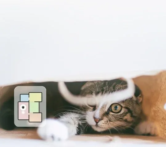 茶色い布や袋の中から顔を覗かせているタビー柄の猫