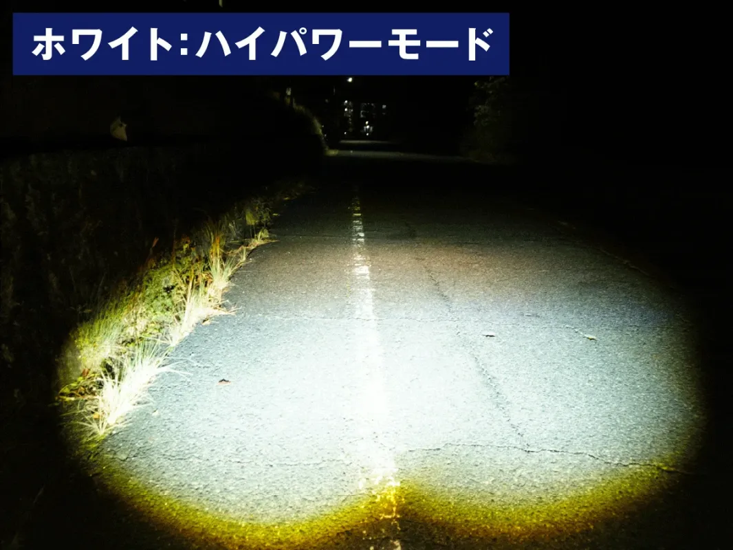 夜の暗い道を強力な白色光が照らしている様子です。アスファルトの路面と路肩の植物が明るく映し出されており、ハイパワーモードの照明効果を示しています。
