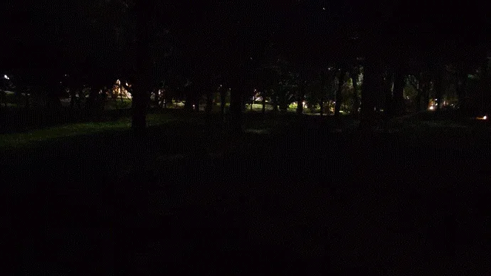 夜の公園のような風景