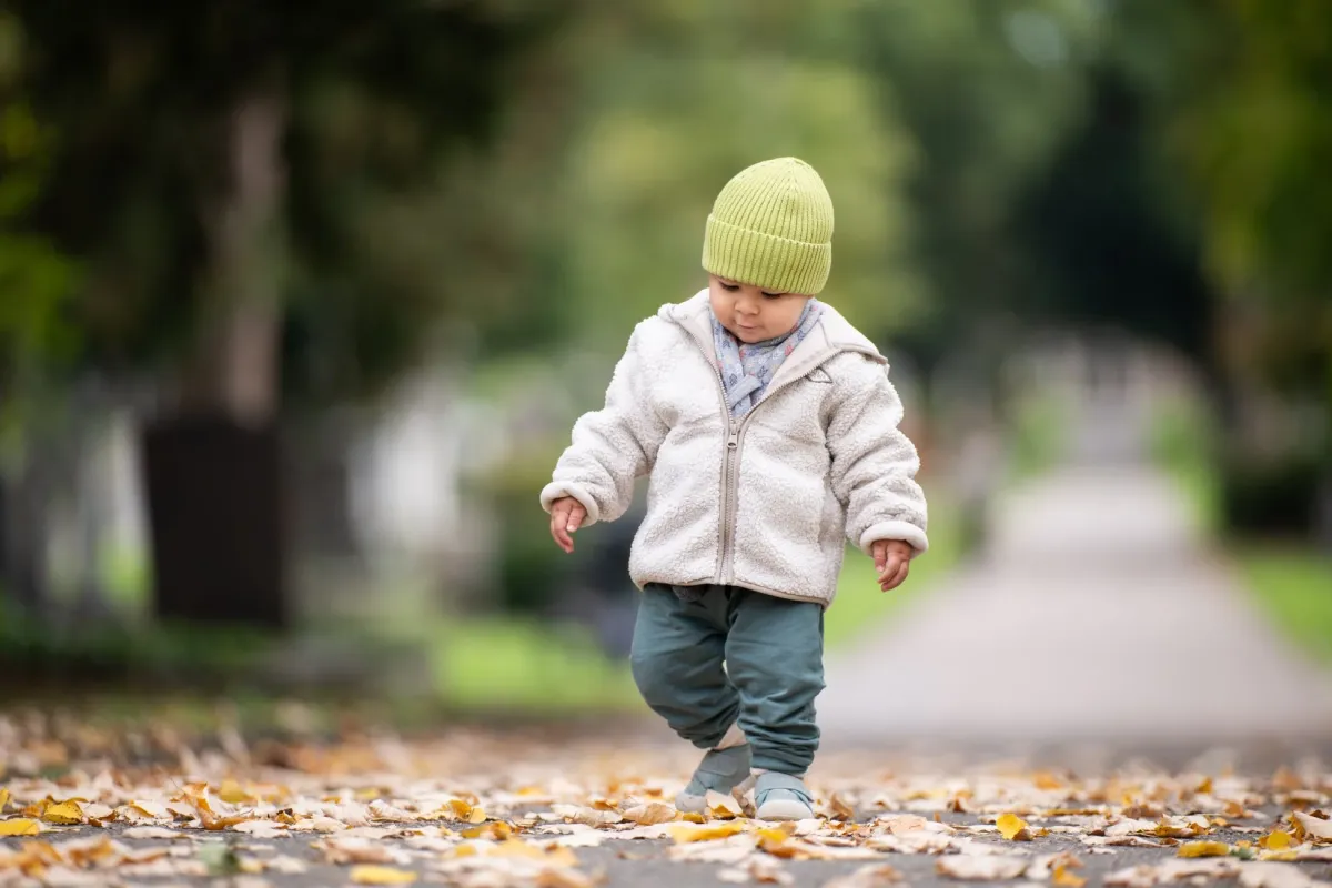 強力な圧縮効果