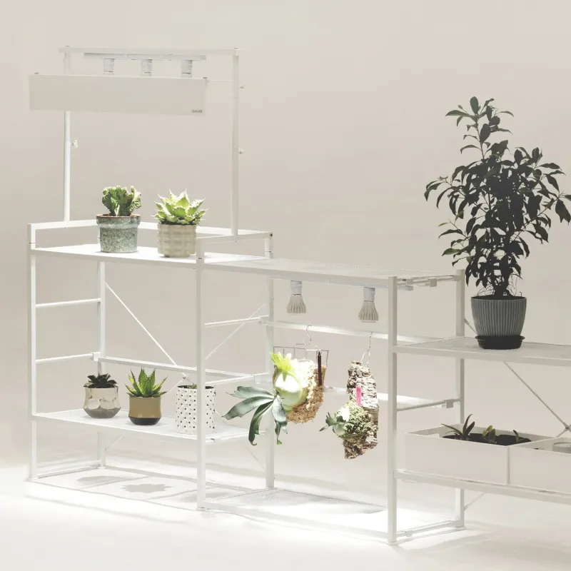 植物ラック使用イメージ