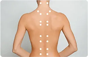 肩位置自動検索システム