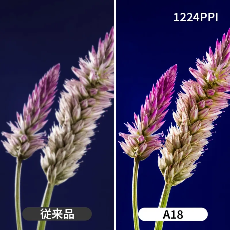 植物の画像を左右で比較した画像。左は「従来品」でやや不鮮明、右は「A18」と「1224PPI」の表示があり、より鮮明で高解像度であることを示している。
