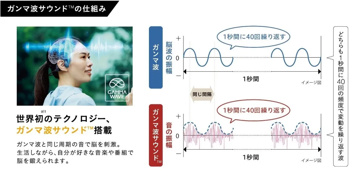 ガンマ波サウンド™の仕組み