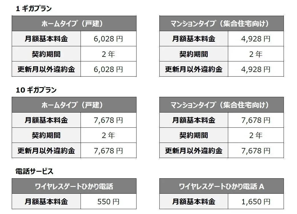 ワイヤレスゲート光 料金体系