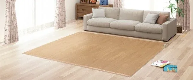 リビングルームのフローリングとラグ