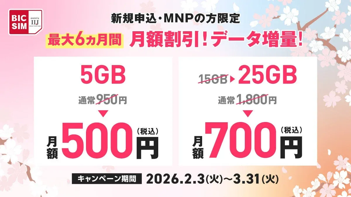 BIC SIM キャンペーン概要