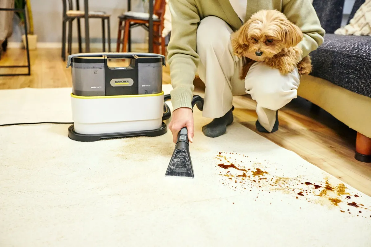 ペットのいる家庭でカーペットを清掃する様子