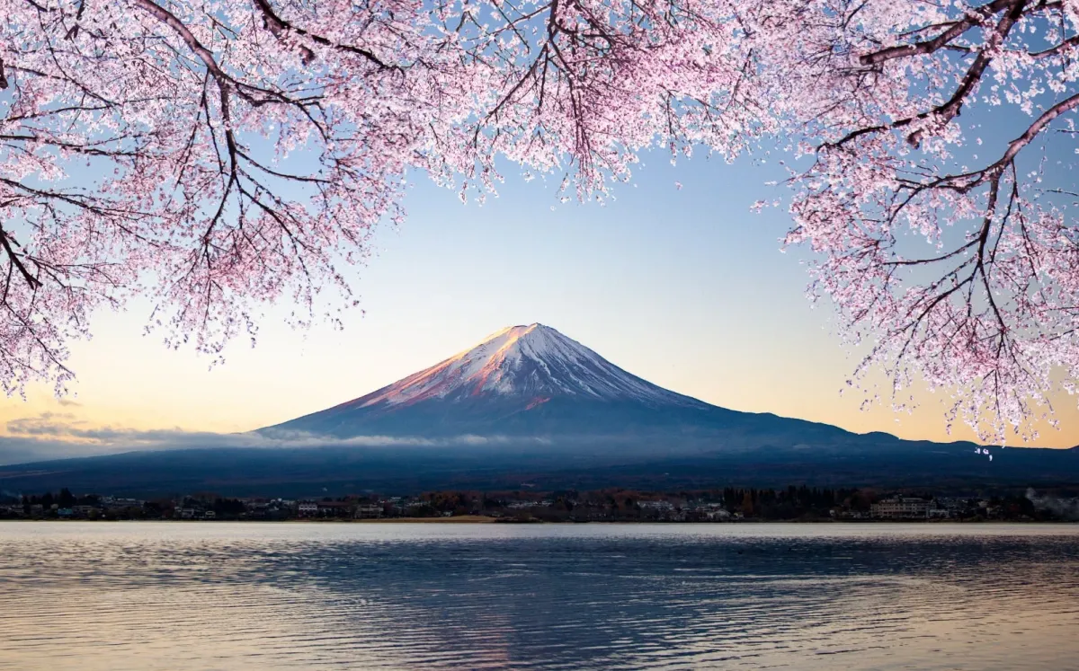 桜と富士山の風景