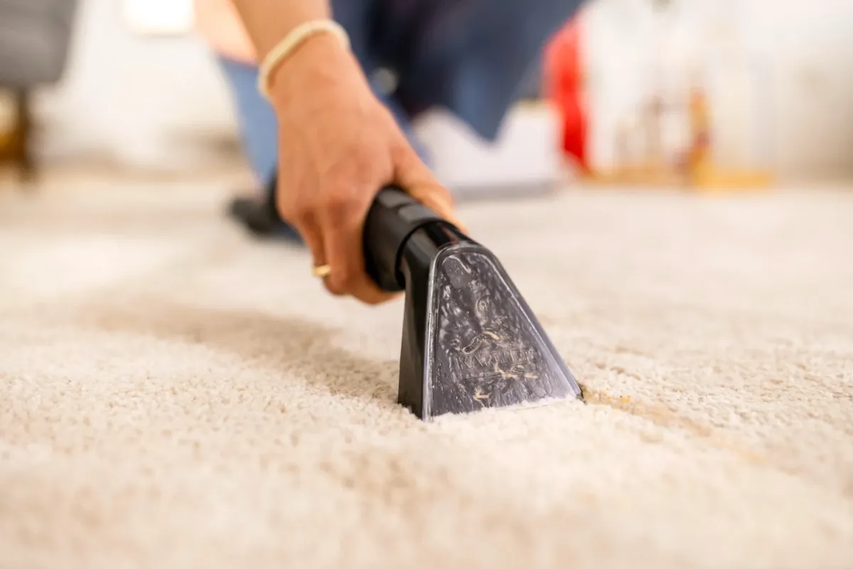 カーペットのシミを清掃する様子