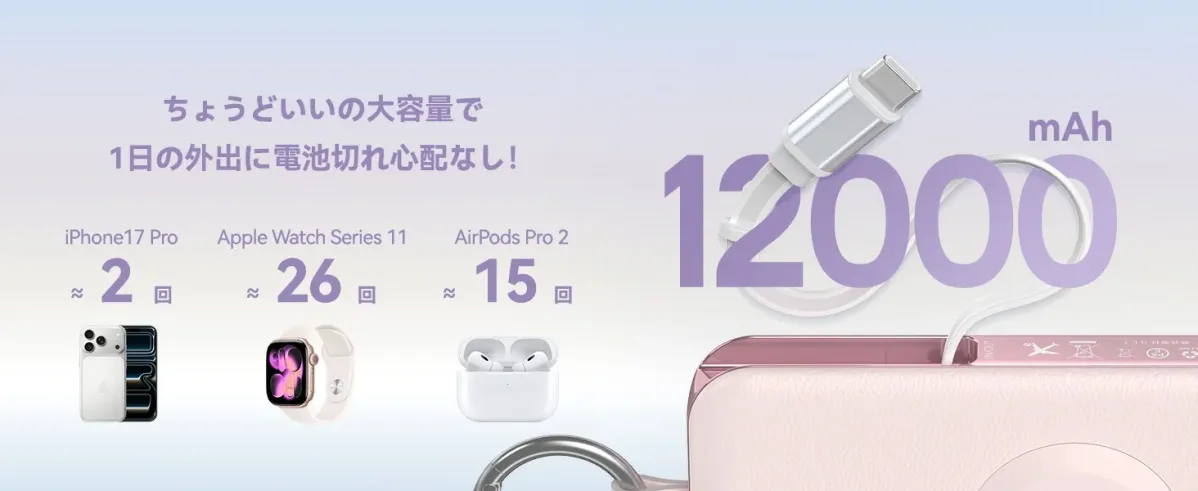 12000mAhの大容量で複数デバイスを充電できるD3-12000