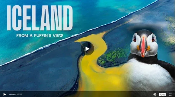 Iceland's Highlands from a Puffin's View