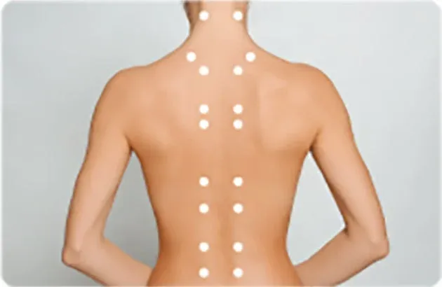 人体の背中にある指圧点