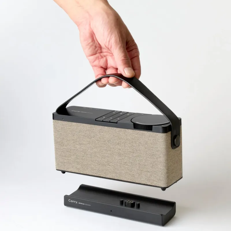 手で持ち上げたスピーカー