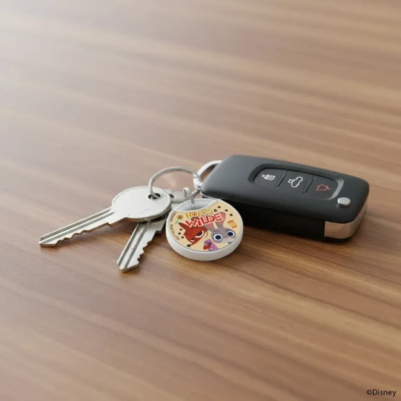 ズートピアのキャラクターが描かれたキーホルダーが付いた鍵束