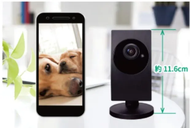 スマートフォンに映し出された眠る犬の画像と、その隣に置かれた黒いホームカメラ
