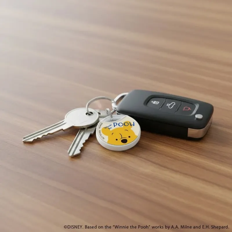くまのプーさんのキーホルダーが付いた鍵束