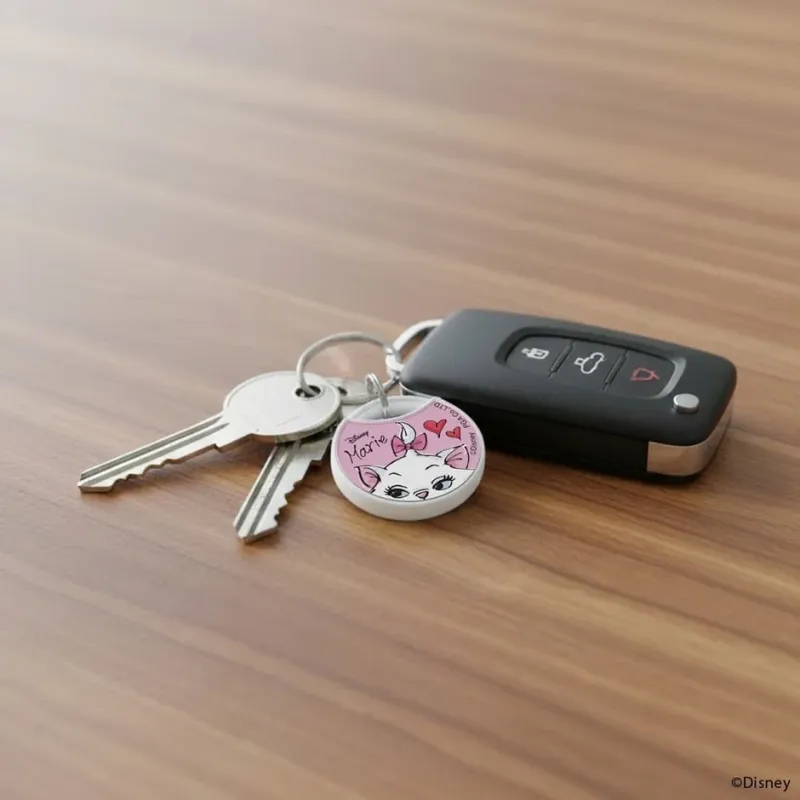 マリーちゃんのキーホルダーが付いた鍵束