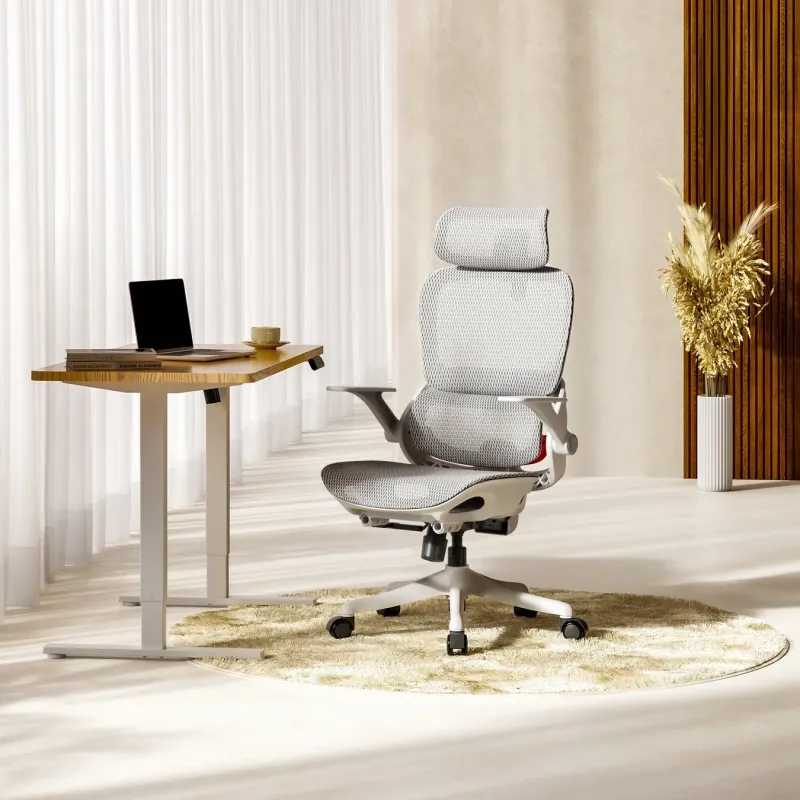 明るいモダンなワークスペースに置かれたSIHOO B100チェア