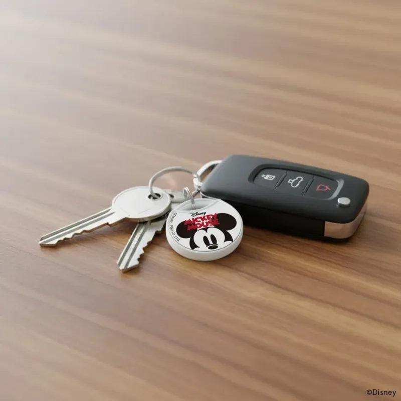 ミッキーマウスのキーホルダーが付いた車の鍵